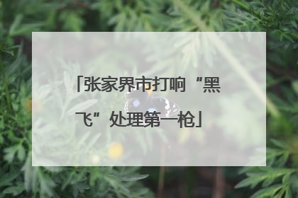 张家界市打响“黑飞”处理第一枪