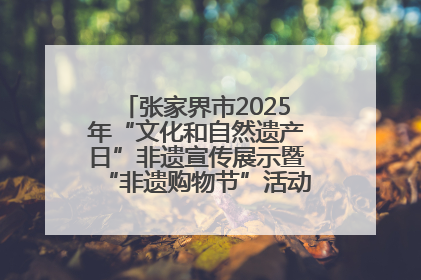 张家界市2025年“文化和自然遗产日”非遗宣传展示暨“非遗购物节”活动在慈利县盛大启幕