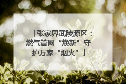 张家界武陵源区：燃气管网“焕新”守护万家“烟火”