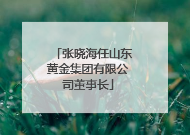 张晓海任山东黄金集团有限公司董事长