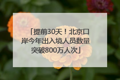 提前30天！北京口岸今年出入境人员数量突破800万人次