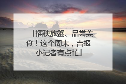 插秧放蟹、品尝美食！这个周末，吉报小记者有点忙