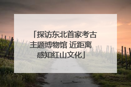 探访东北首家考古主题博物馆 近距离感知红山文化