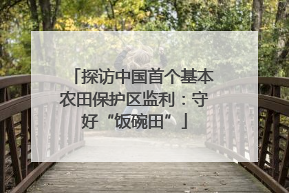探访中国首个基本农田保护区监利：守好“饭碗田”