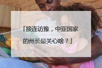 接连访豫，中亚国家的州长最关心啥？