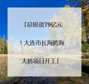 总投资79亿元！大连市长海跨海大桥项目开工
