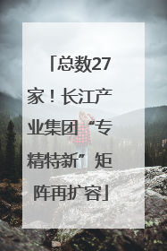 总数27家！长江产业集团“专精特新”矩阵再扩容