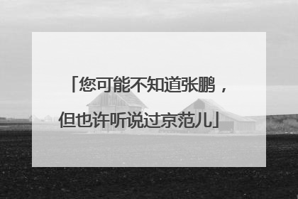 您可能不知道张鹏,但也许听说过京范儿