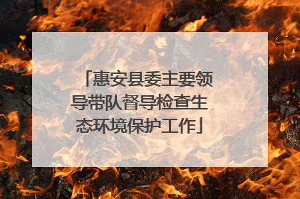 惠安县委主要领导带队督导检查生态环境保护工作