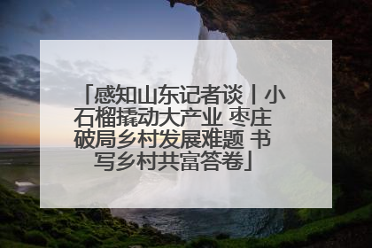 感知山东记者谈丨小石榴撬动大产业 枣庄破局乡村发展难题 书写乡村共富答卷