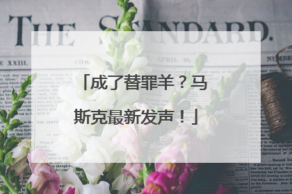 成了替罪羊？马斯克最新发声！