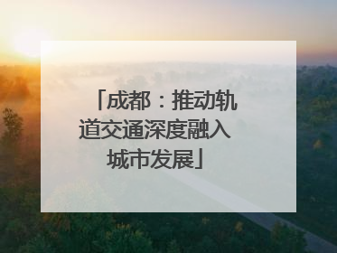成都：推动轨道交通深度融入城市发展