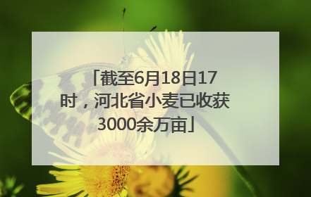截至6月18日17时，河北省小麦已收获3000余万亩