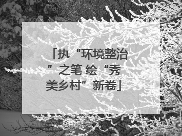 执“环境整治”之笔 绘“秀美乡村”新卷
