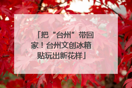 把“台州”带回家！台州文创冰箱贴玩出新花样