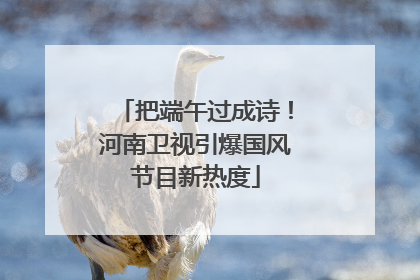 把端午过成诗！河南卫视引爆国风节目新热度