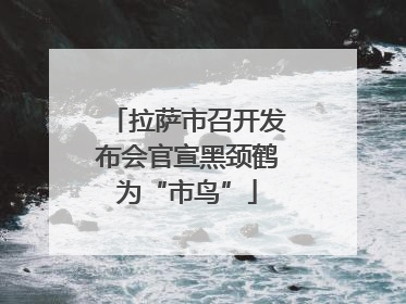 拉萨市召开发布会官宣黑颈鹤为“市鸟”