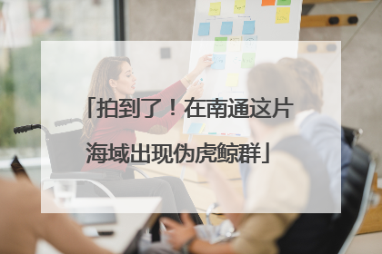 拍到了！在南通这片海域出现伪虎鲸群