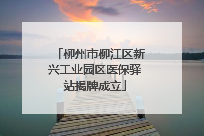 柳州市柳江区新兴工业园区医保驿站揭牌成立