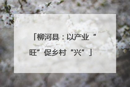 柳河县：以产业“旺”促乡村“兴”