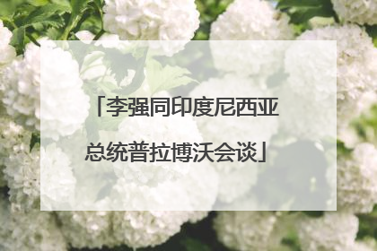 李强同印度尼西亚总统普拉博沃会谈