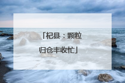 杞县：颗粒归仓丰收忙