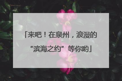 来吧！在泉州，浪漫的“滨海之约”等你哟