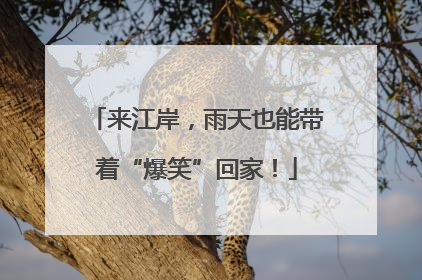 来江岸，雨天也能带着“爆笑”回家！