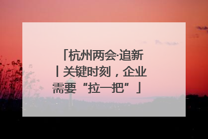 杭州两会·追新丨关键时刻，企业需要“拉一把”