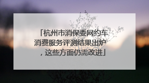杭州市消保委网约车消费服务评测结果出炉，这些方面仍需改进