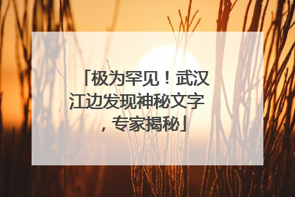 极为罕见！武汉江边发现神秘文字，专家揭秘