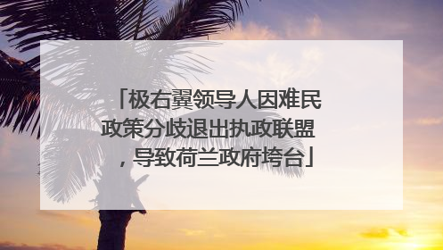 极右翼领导人因难民政策分歧退出执政联盟，导致荷兰政府垮台