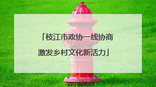 枝江市政协一线协商激发乡村文化新活力