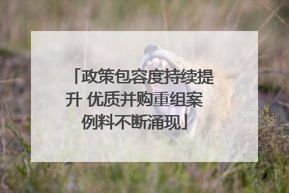 政策包容度持续提升 优质并购重组案例料不断涌现