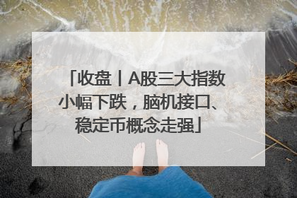 收盘丨A股三大指数小幅下跌，脑机接口、稳定币概念走强