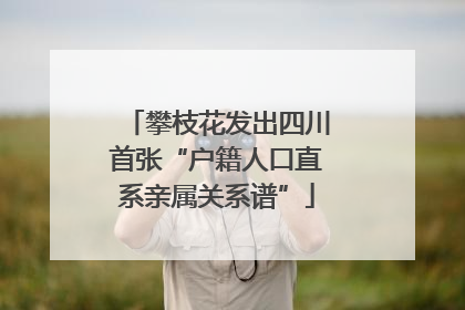 攀枝花发出四川首张“户籍人口直系亲属关系谱”