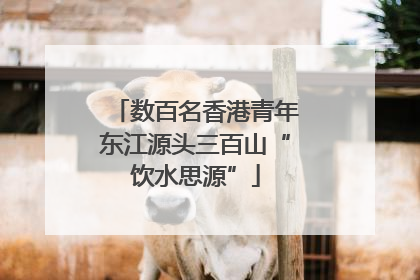 数百名香港青年东江源头三百山“饮水思源”