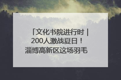 文化书院进行时｜200人激战夏日！淄博高新区这场羽毛球比赛太酷