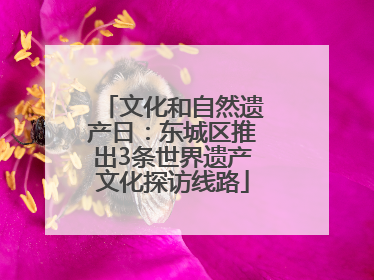 文化和自然遗产日：东城区推出3条世界遗产文化探访线路