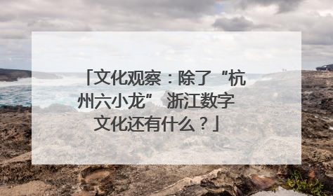 文化观察：除了“杭州六小龙” 浙江数字文化还有什么？