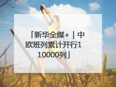 新华全媒+｜中欧班列累计开行110000列