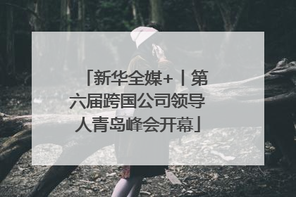 新华全媒+丨第六届跨国公司领导人青岛峰会开幕