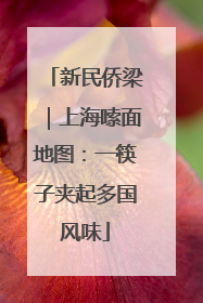 新民侨梁｜上海嗦面地图：一筷子夹起多国风味