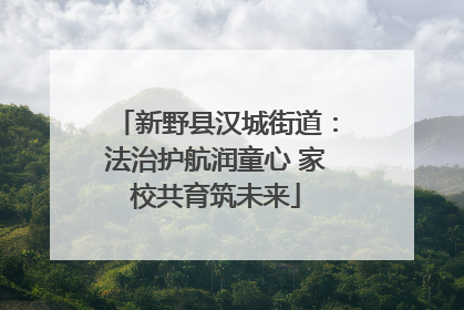 新野县汉城街道：法治护航润童心 家校共育筑未来