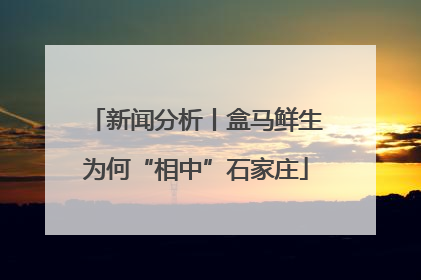 新闻分析丨盒马鲜生为何“相中”石家庄
