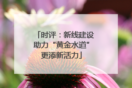时评：新线建设助力“黄金水道”更添新活力