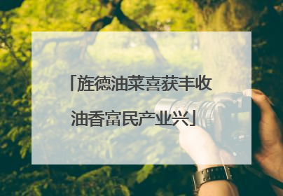 旌德油菜喜获丰收 油香富民产业兴