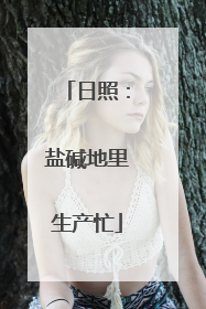 日照：盐碱地里生产忙