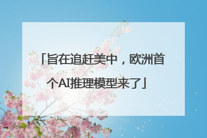 旨在追赶美中，欧洲首个AI推理模型来了