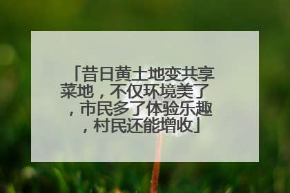 昔日黄土地变共享菜地，不仅环境美了，市民多了体验乐趣，村民还能增收